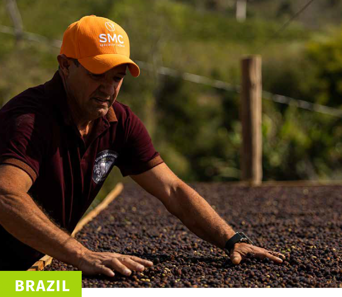 Rūšinės kavos pupelės: Brasil SÍTIO MARANHÃO