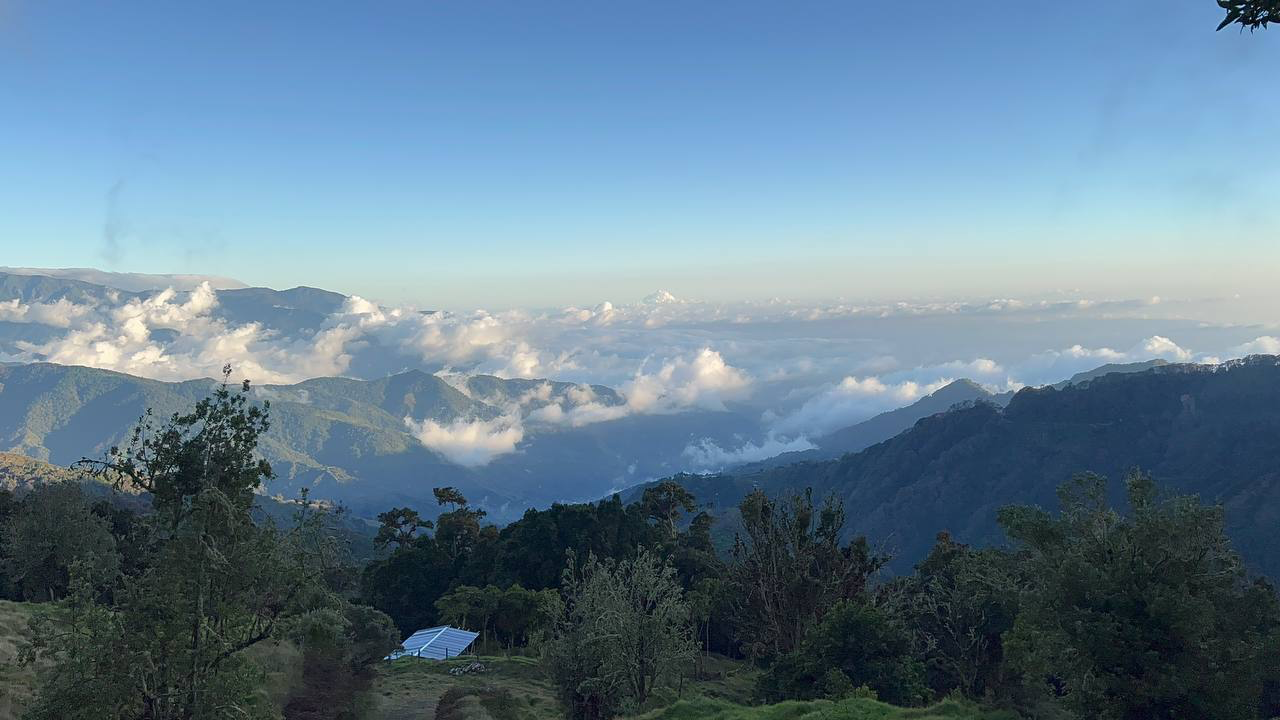 Rūšinės kavos pupelės: Costa rica, Las Torres