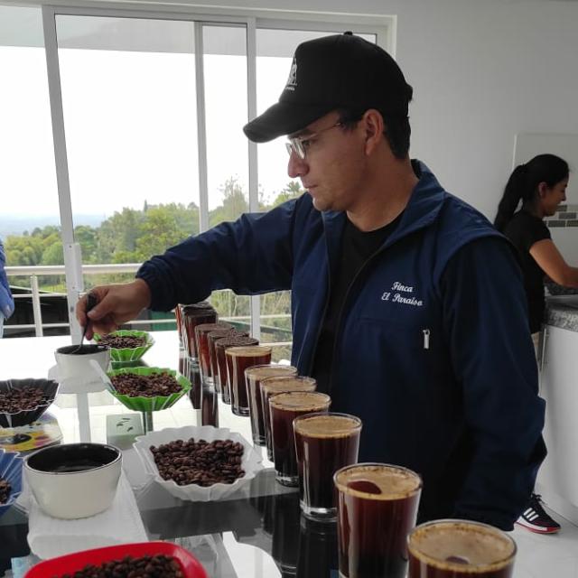 Rūšinės kavos pupelės: Columbia Granja Paraiso 92